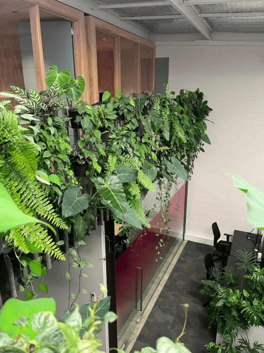 office-workplace-plants